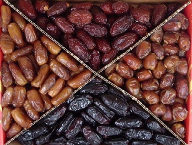Malaysia Provides a Wide Range of Dates Fruits Suppliers